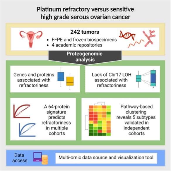 Identification of new biological markers that may predict which ovarian cancer patients won’t respond to chemotherapy.