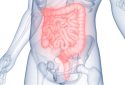 Human digestive system anatomy.