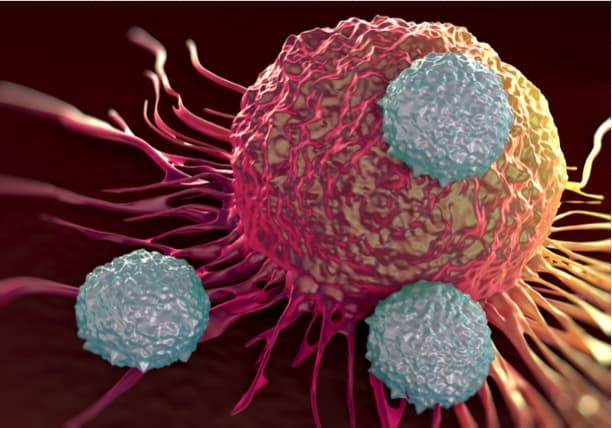 Protein mutation creates ‘super’ T cells with potential to fight off cancer and infections