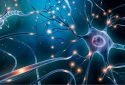Neuronal network with electrical activity, illustration.