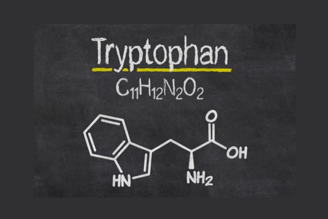 Chemical structure of amino acid tryptophan.