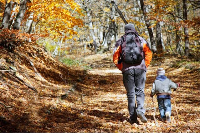 Father and son walking in autumn forest.