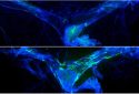 Boosting brain’s waste removal system improves memory in old mice.