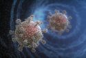 Coronavirus illustration.