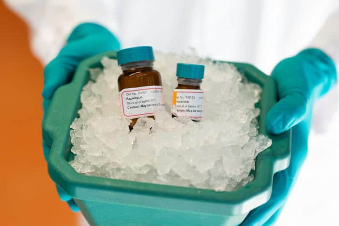 Rapamycin and Trametinib.