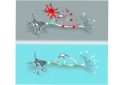 CAR-T cell therapy induced brain fog.