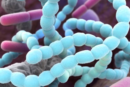 Bad oral bacteria, illustration.