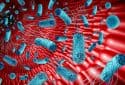 Gut microbiome illustration.