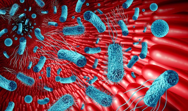Gut microbiome illustration.