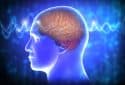 Illustartion of human brain waves.