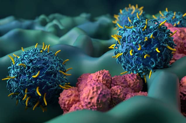 T-cells attacking cancer cells, illustration.