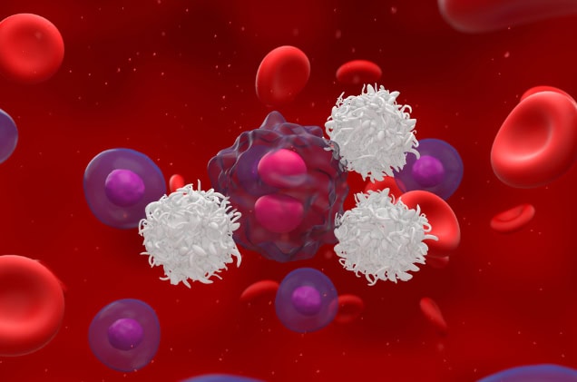 Activated T-cells attack a lymphoma cell, illustration.