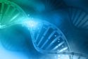 DNA, genome, genes, illustration.