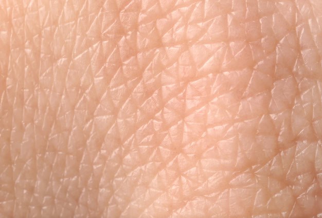Texture of human skin.