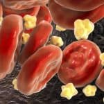 Fats in blood illustration.