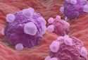 Cancer cells, illustration.