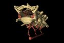 Vein network