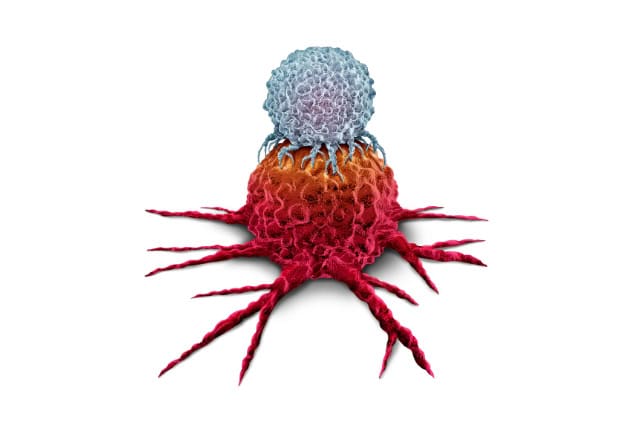 Immune cell attacking cancer cell (illustration).