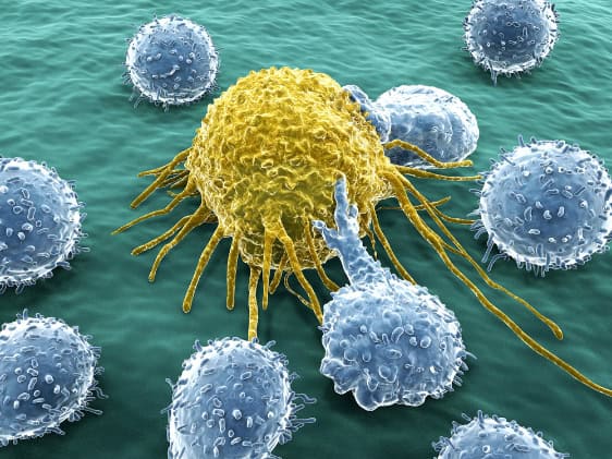 T-cells attacking a cancer cell.