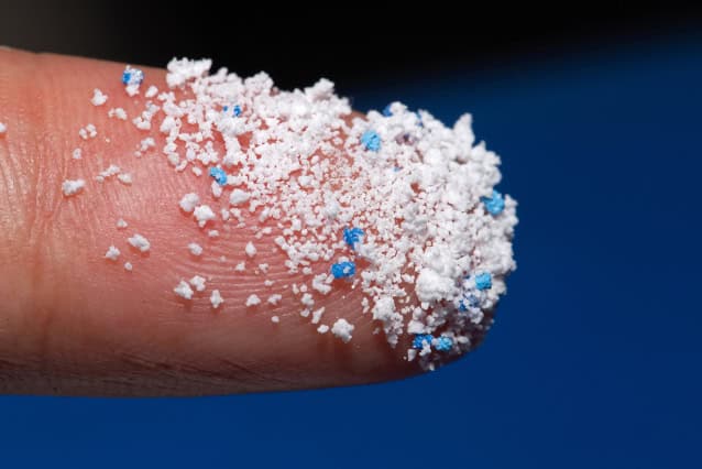 Small plastic pellets (microplastics) on a finger.