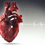 Heart health concept.