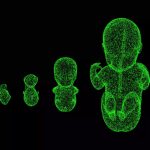 Artistic rendition of human gestational development.
