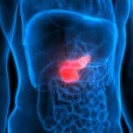 Pancreas anatomy, illustration.