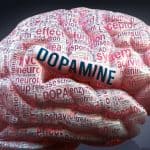 Dopamine neurotransmitter in human brain (illustration).