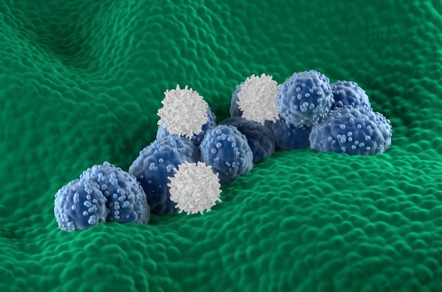 T-cells attacking cancer cells (illustration).