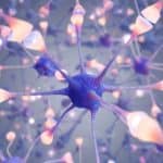 Neural network with synaptic connections (illustration).