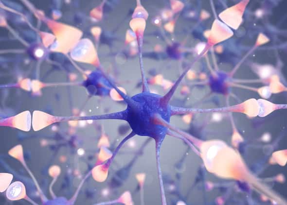 Neural network with synaptic connections (illustration).