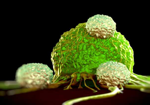 T-cells attacking cancer cell (illustration).
