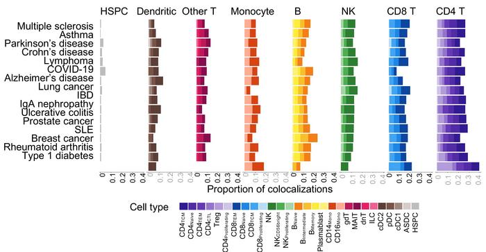 Genetic risk links to gene activity in immune cell types (IMAGE)