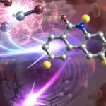 Cancer-killing drug made inside tumor cells (IMAGE).