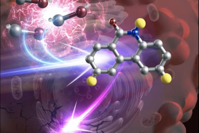 Cancer-killing drug made inside tumor cells (IMAGE).
