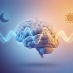 Brain circadian rhythm concept.