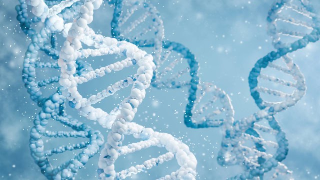 DNA strands, genome concept.