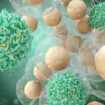 Immune cells, illustration.