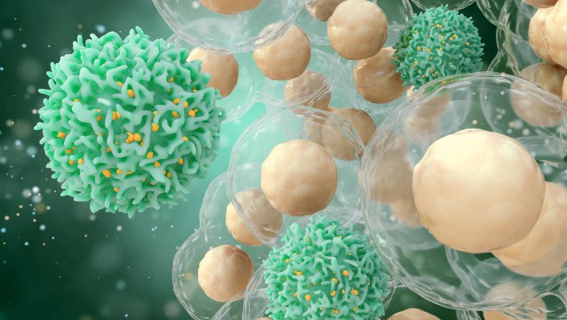 Immune cells, illustration.